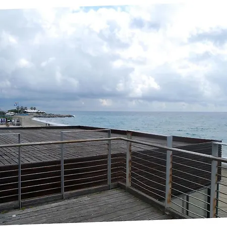 Viola - A Due Passi Dal Mare *